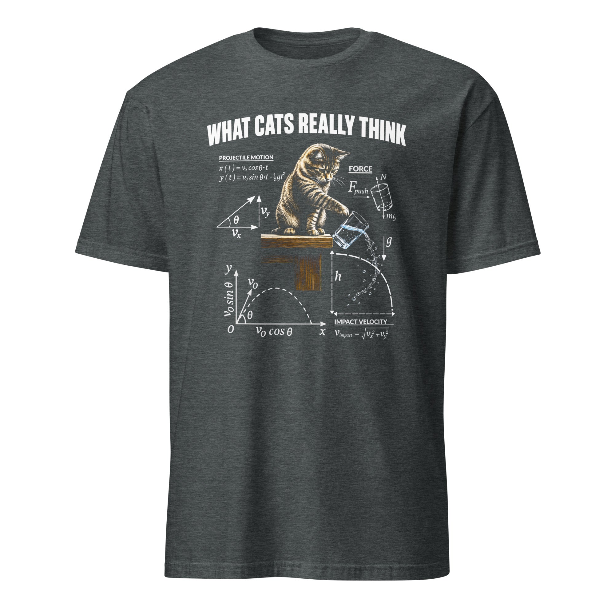Dark Heather Short Sleeve T-Shirt With Graphic Of A Kitten Knocking A Glass Of Water With math equations and text What Cats Really Think.
